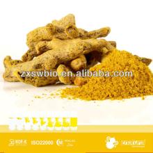 95% Curcumin oid yellow turmeric yellow color in food additive