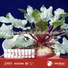 powder  red   beet   concentrate   juice  with hight qaulity