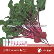 Natural red color red beetroot powder for ice-cream