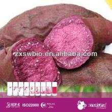 Purple sweet potato color for food and Beverage