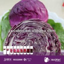 Red Natural Color/Natural Pigment/Red Cabbage Color