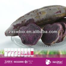  purple   sweet   potato   color /natural food colouring/natural  color 