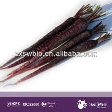 natural food ingredients anthocyanin for food colour