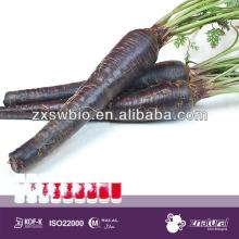 red food coloring ingredients black carrot extract pigment