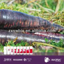 red food coloring ingredients black carrot seeds natural food color cabbage red color