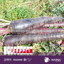 health food ingredients black carrot juice concentrate natural food color cabbage red color