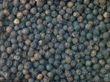 Black Pepper