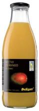 Spanish Organic Mango Juice