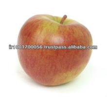Apple juice concentrate