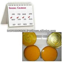 frozen alphonso mango pulp supplier from india