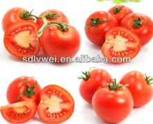 no additives tomato paste tomato puree brix36-38