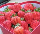 Strawberry juice concentrate good brix