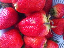 strawberry juice concentrate 60 brix