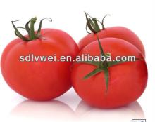 export tomato paste brix 28-30