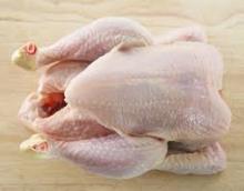GRADE A FROZEN HALAL WHOLE CHICKEN FOR SALE