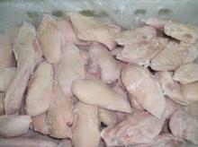 FROZEN CHICKEN BREAST FOR SALE