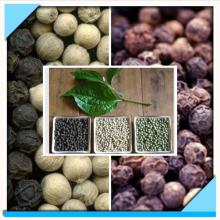 BLACK AND WHITE PEPPER