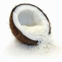 VIETNAM DESSICATED COCONUT HIGH FAT
