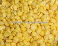 Fresh Corn , Yellow Corn , Maize , Frozen Corn,Popcorn