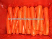 Fresh Carrots Supplier