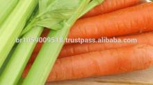 Fresh Carrots New Vegetable