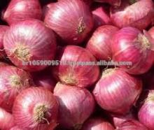 Red Dried Fresh Onion for Sale