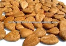 Natural Dried Almond Seeds