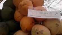Fresh  Coconut 