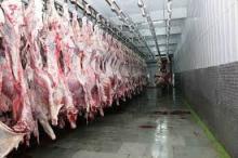 Halal Frozen Beef