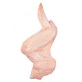  Export   Frozen   Chicken  Wings