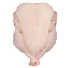 WHOLE FROZEN CHICKEN FOR EXPORT