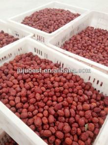 organic food dried fruit chinese dried dates