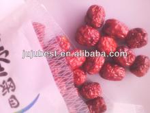 fresh organic chinese sweet dried red dates