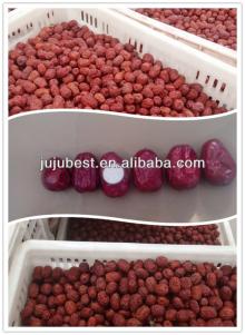 chinese organic sweet food dried red dates/jujube
