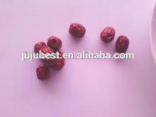 chinese organic dried red seedless dates