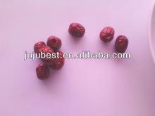 Chinese dried organic red seesless dates fruit