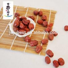 dried jujub/dates of jujubest
