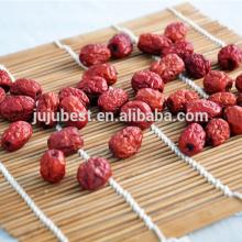 chinese sweet organic dried red dates