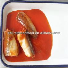  norway   mackerel  fish in tomato sauce