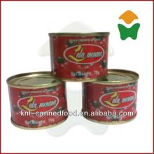 OEM delicious 28-30 70g Xinjiang tomato paste 70gX50tins