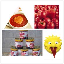 2014 hot sell tomato puree in drum