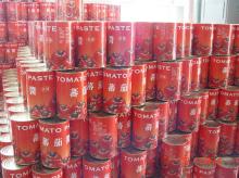 tomato paste product line