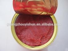 canned tomato paste with competitive price and best quality