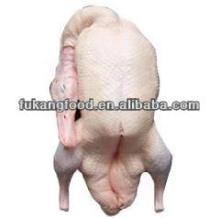 frozen halal whole duck