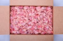 Frozen chicken heads