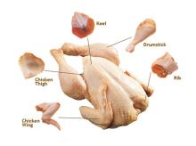 Halal Frozen Chicken Parts