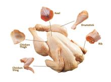 frozen chicken breast meat