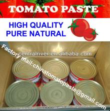 Canned tomato factory Canned Tomato Paste 2200g/tin