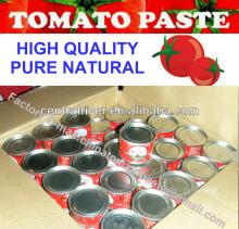 Canned tomato factory Canned Tomato Paste 70g/tin