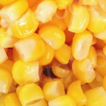 340g/12  sweet   corn  with low price  thailand   canned   corn  for best quality  thailand   canned   sweet   corn 